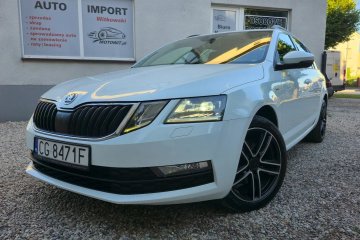 2,0 diesel 150 KM NAVI Full LED automat  zarejestrowany